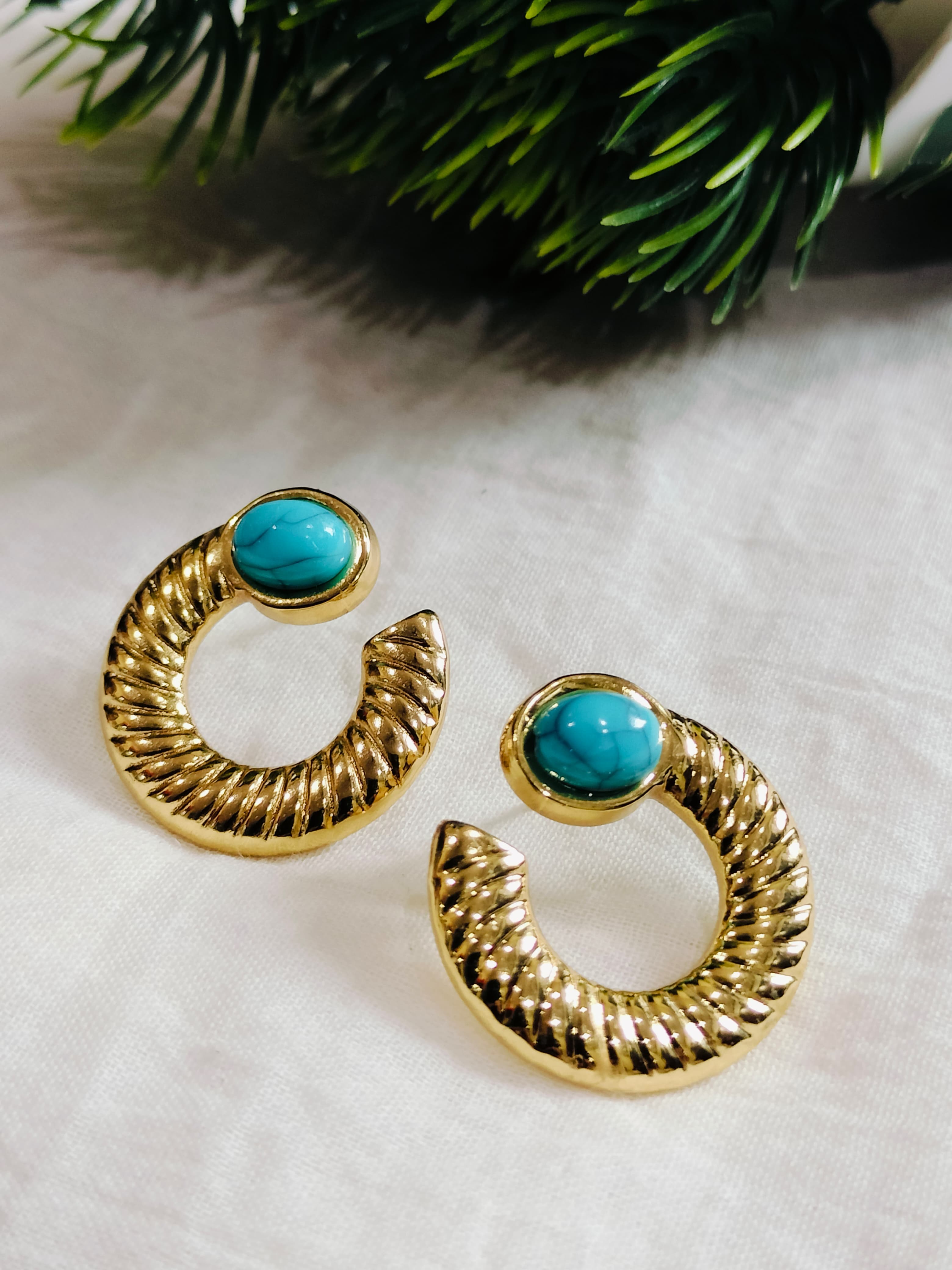 Elegant Earrings Stainless steel